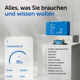 Victron-Energy_offgridshop-eu_SmartShunt-Marketingimg_4.jpg