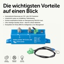 Victron-Energy_offgridshop-eu_Battery-Protect_Marketingimg_2.jpeg